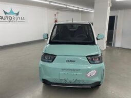 
 BAW1 full electric Young full									