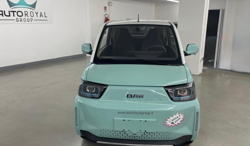 
 BAW1 full electric Young full									