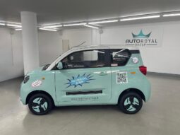 
 BAW1 full electric Young full									