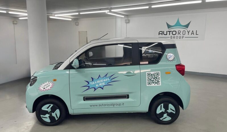 
 BAW1 full electric Young full									