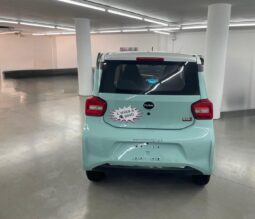
 BAW1 full electric Young full									