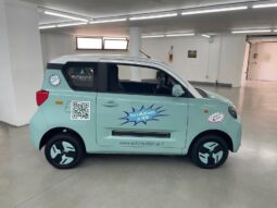 
 BAW1 full electric Young full									