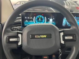 
 BAW1 full electric Young full									