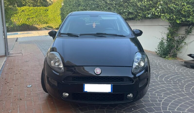 
 Fiat Punto Punto III 2012 5p 1.3 mjt II 16v Lounge 75cv E5+ full									