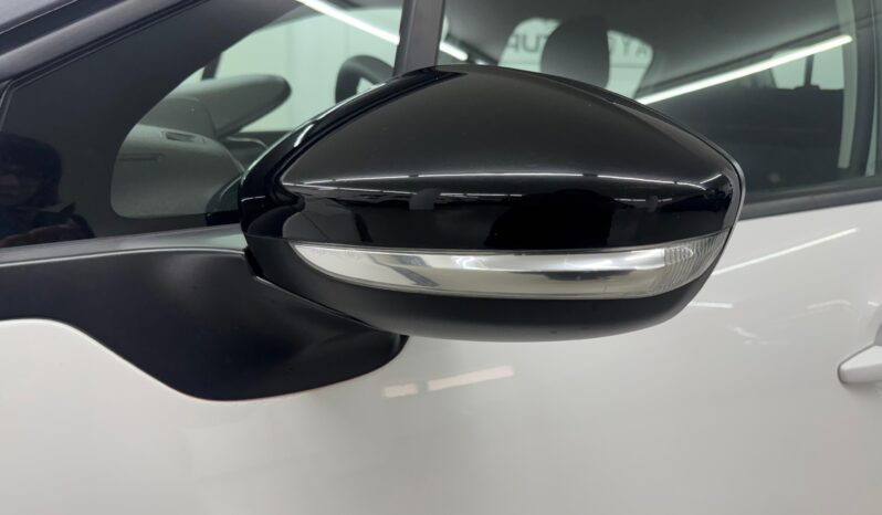 
 Citroen C3 Max 110 cv full									