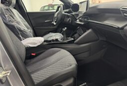 
 Peugeot 2008 PureTech 100 S&S Allure full									