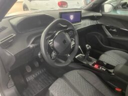 
 Peugeot 2008 PureTech 100 S&S Allure full									