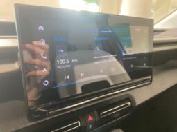 
 Citroen C3 PureTech 100 S&S Max full									