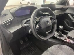 
 Peugeot 2008 PureTech 100 S&S Allure full									